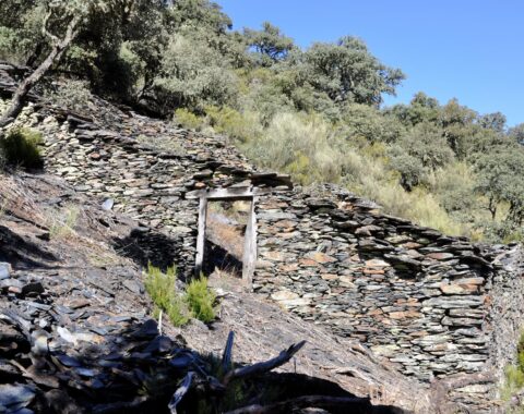 Cortines para colmenas del Rial, en el paisaje del Bierzo