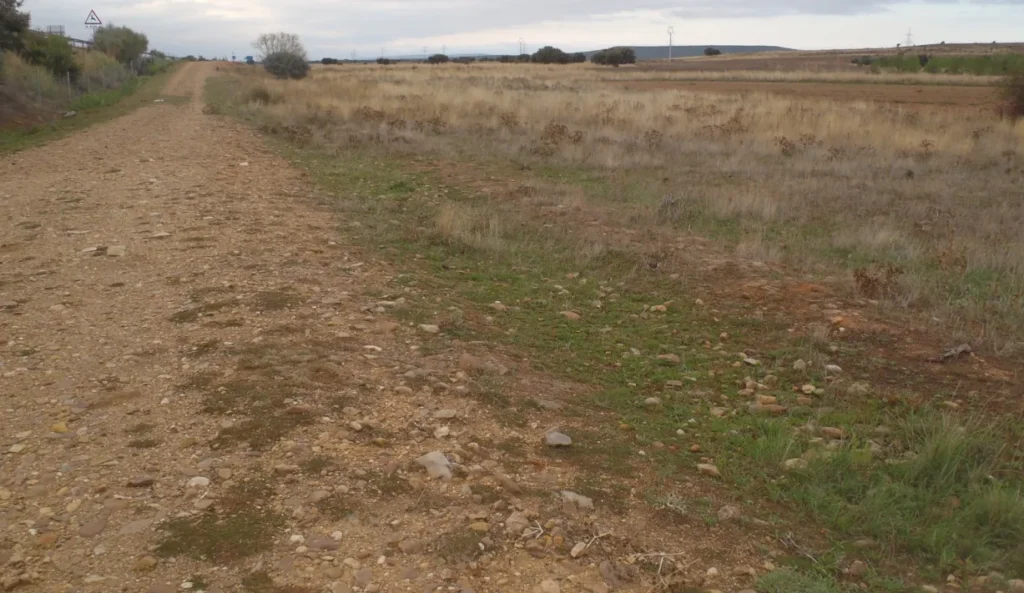 Vía romana en el ámbito prospectado de la Maragatería