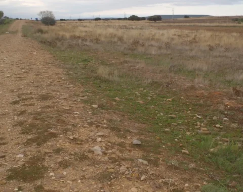 Vía romana en el ámbito prospectado de la Maragatería