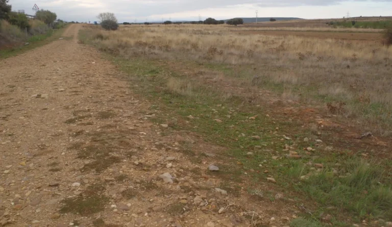 Vía romana en el ámbito prospectado de la Maragatería